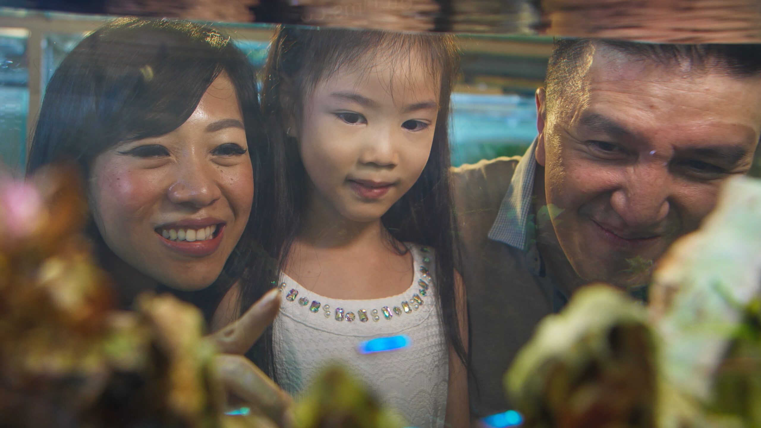 Aquazone - At The Heart 4K FIN (No Sub).mp4_snapshot_04.37.027