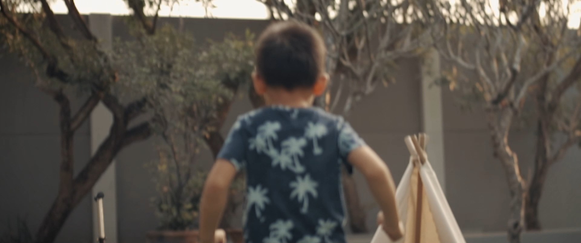 Premium Mask Deliver V2.mp4_snapshot_00.35.889